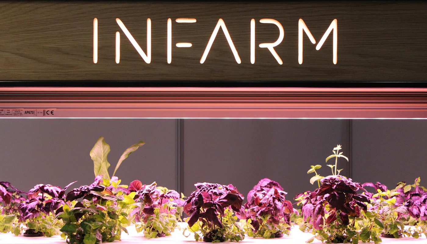 InFarm: growing vegetables in supermarkets