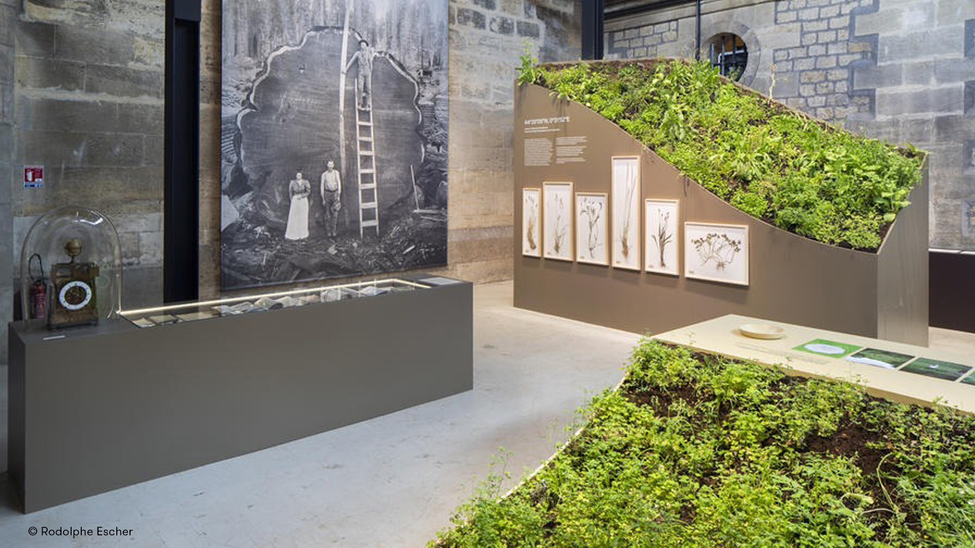 « Paysans Designers », l’expo bordelaise qui place l’approche design au cœur de la transformation du monde agricole